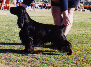 Jyndel Osten Powers - aged 18 months