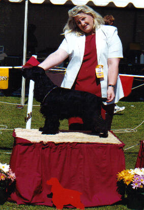 Jyndel Osten Powers - 2nd Place Puppy Dog Class CSCNational